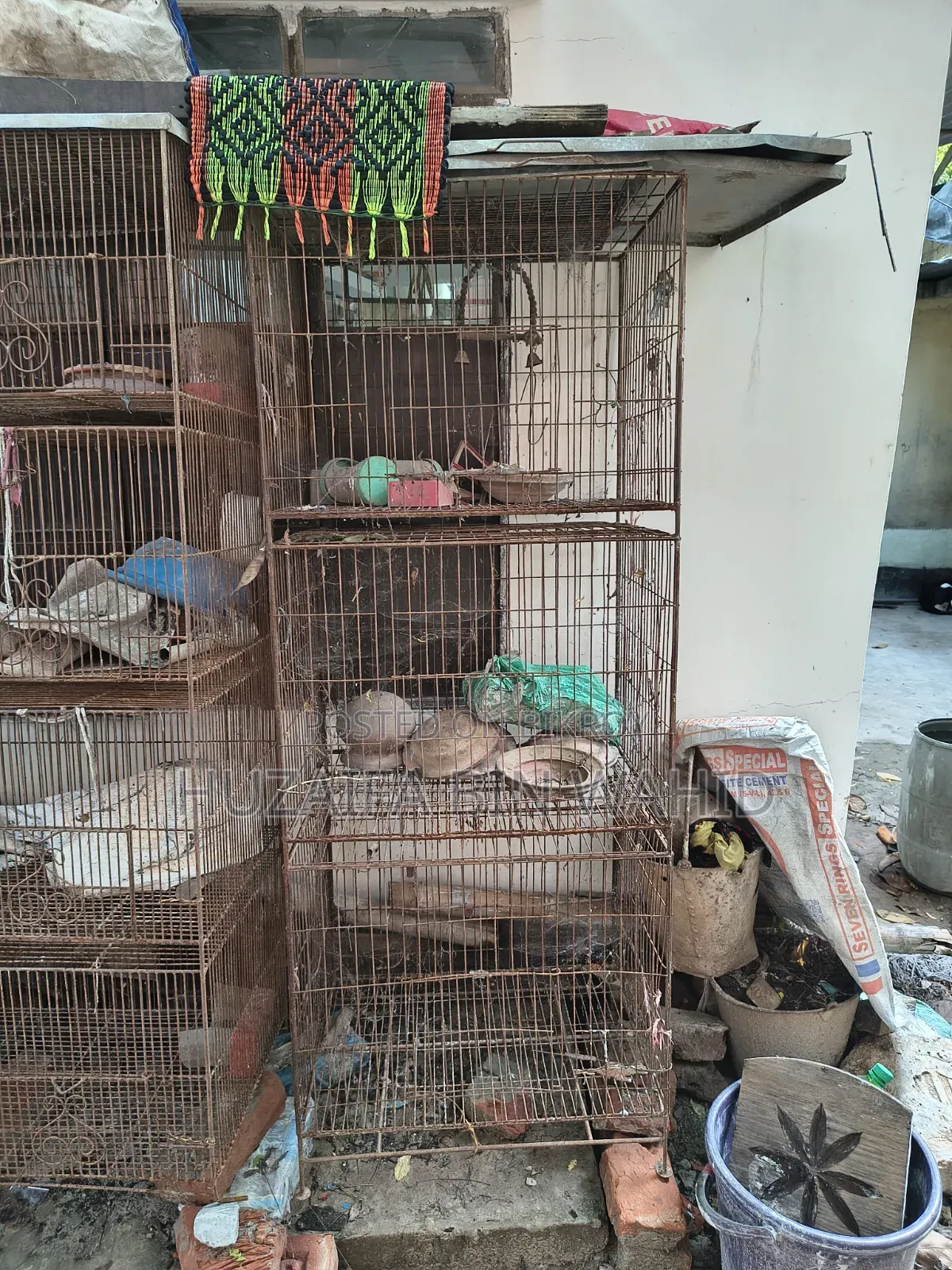 পিজন অ্যান্ড বার্ড কেজ