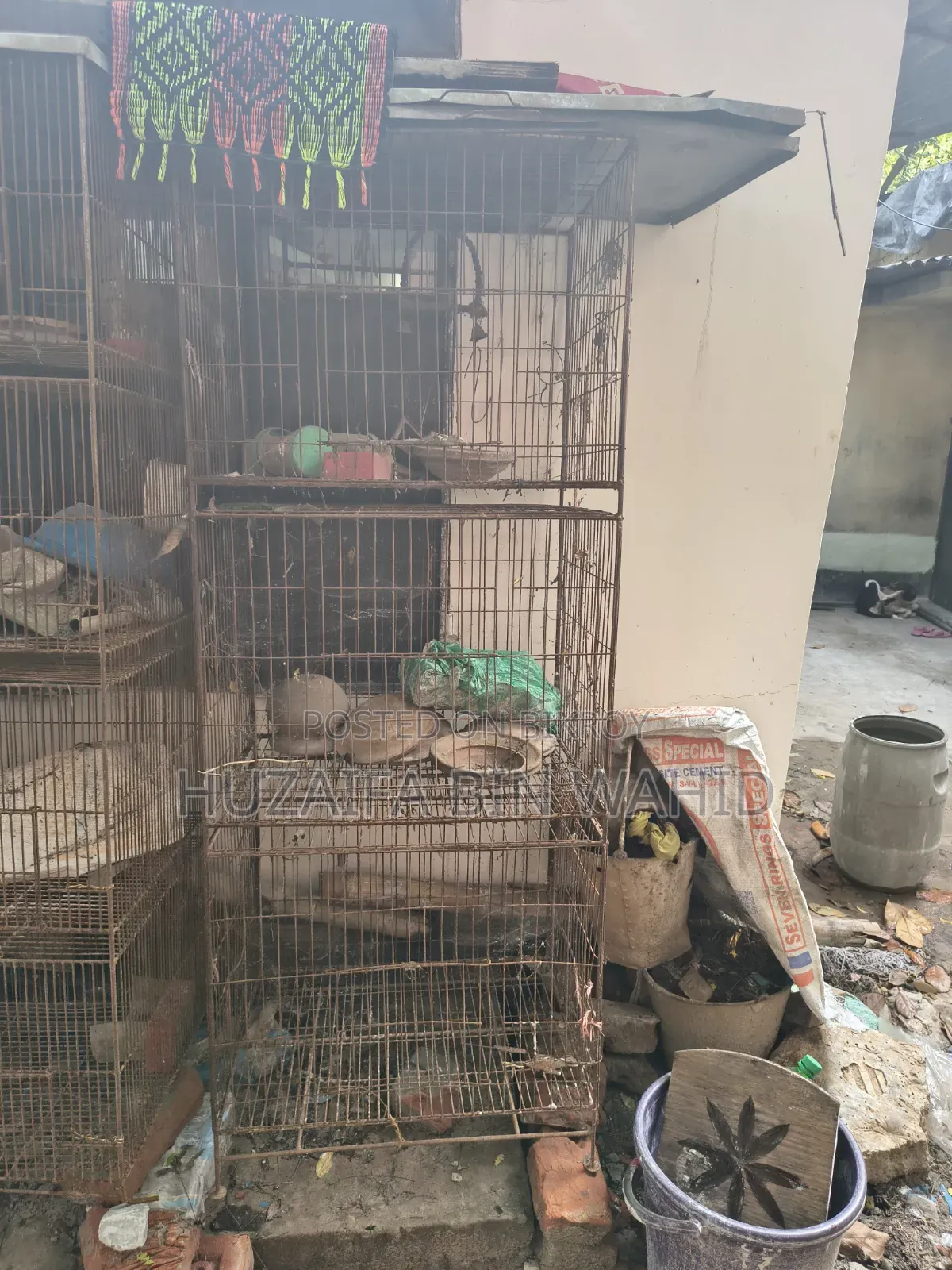 পিজন অ্যান্ড বার্ড কেজ