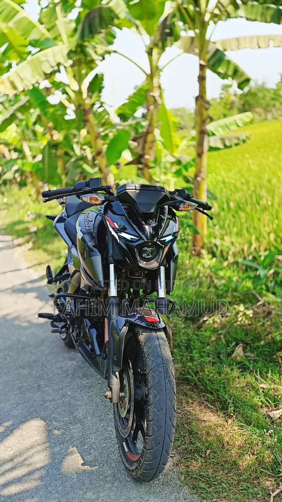 Bajaj Pulsar N160 2024 Black