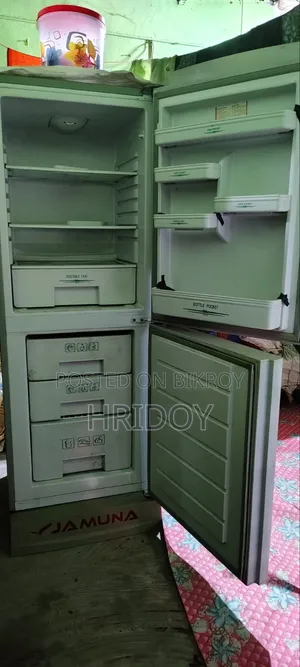 যমুনা ফ্রিজ ২৪৮ লিটার