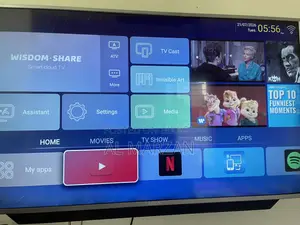 Triton TV 55 Inch