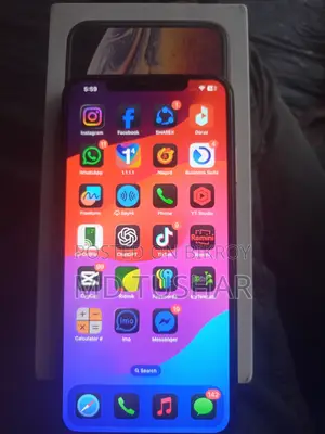 অ্যাপল আইফোন এক্সএস ম্যাক্স ২৫৬ জিবি গোল্ড