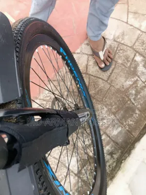 ফিনিক্স ডাস্টার সি