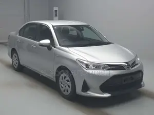 Toyota Axio 2021 Silver