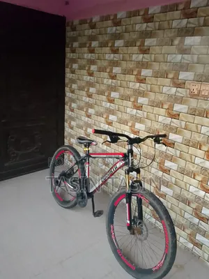 বাই সাইকেল