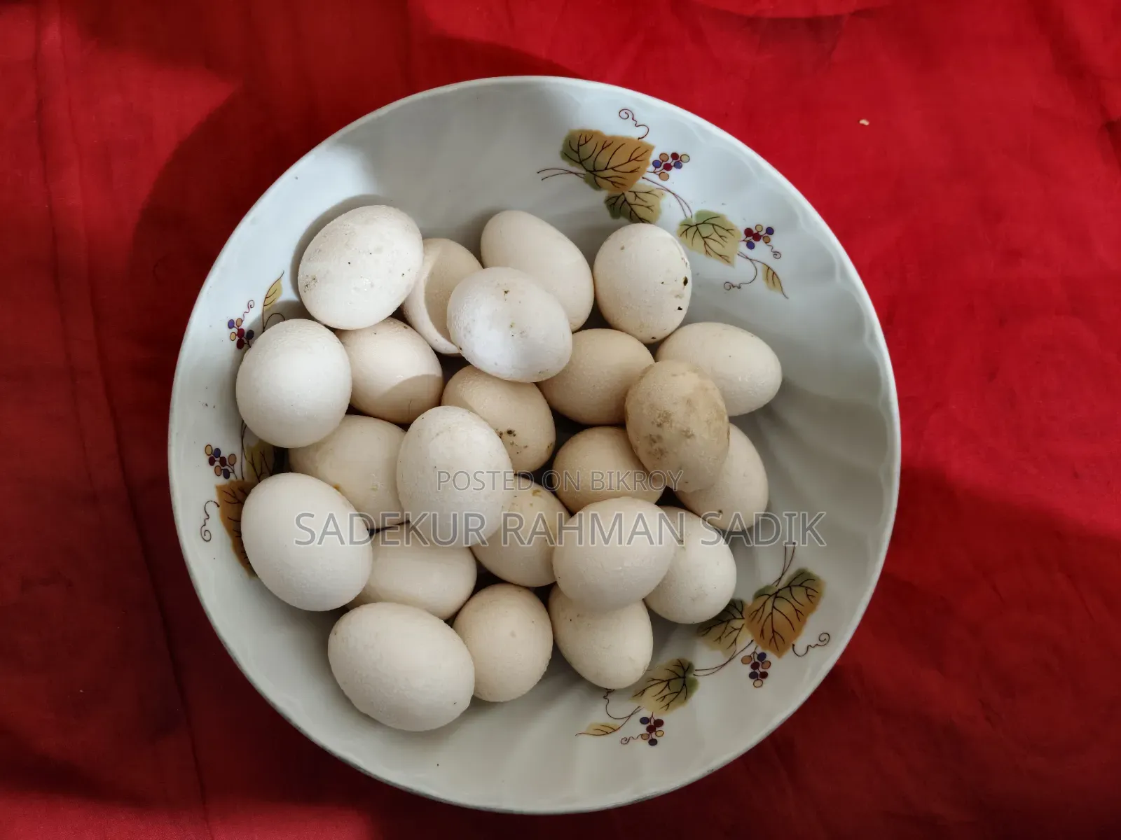 Desi Chicken Fertilized Eggs for Sale