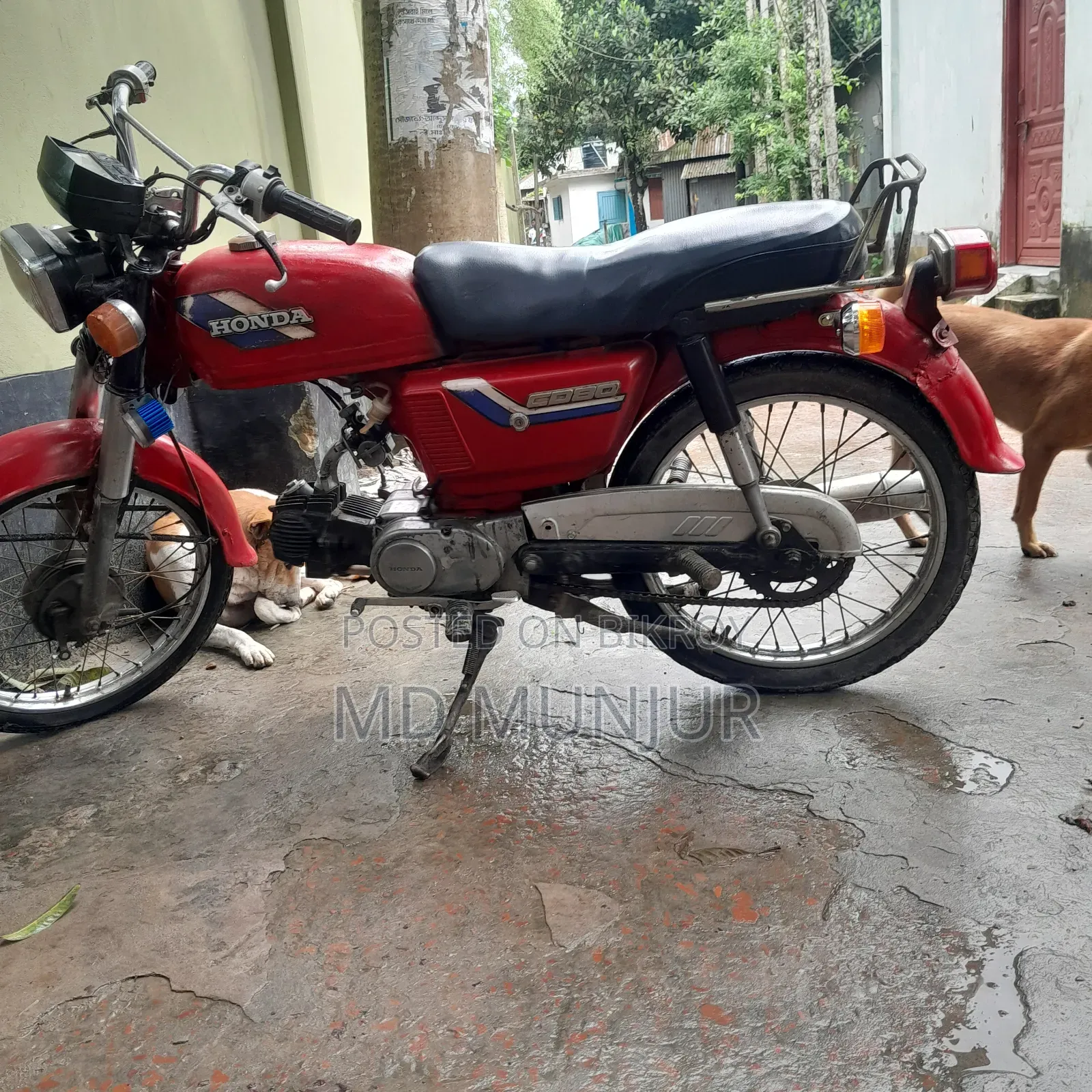Honda 2022 Red