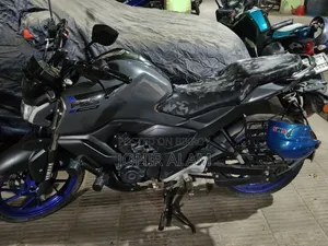 নতুন ইয়ামাহা এফজেড ২০২৪ গ্রে