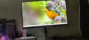 HP E24Q QHD 24" Monitor With Tx200 TV Card