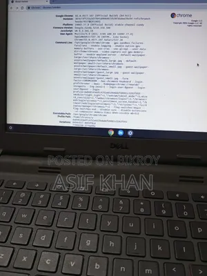 Laptop Dell Chromebook 3100 2GB eMMC 128GB