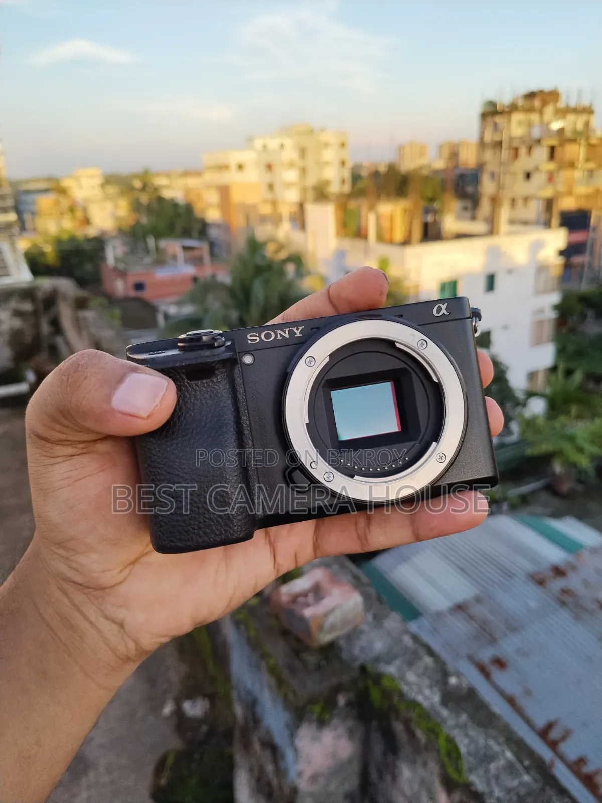 Sony 6300 + Sony 16-55mm Kit Lens