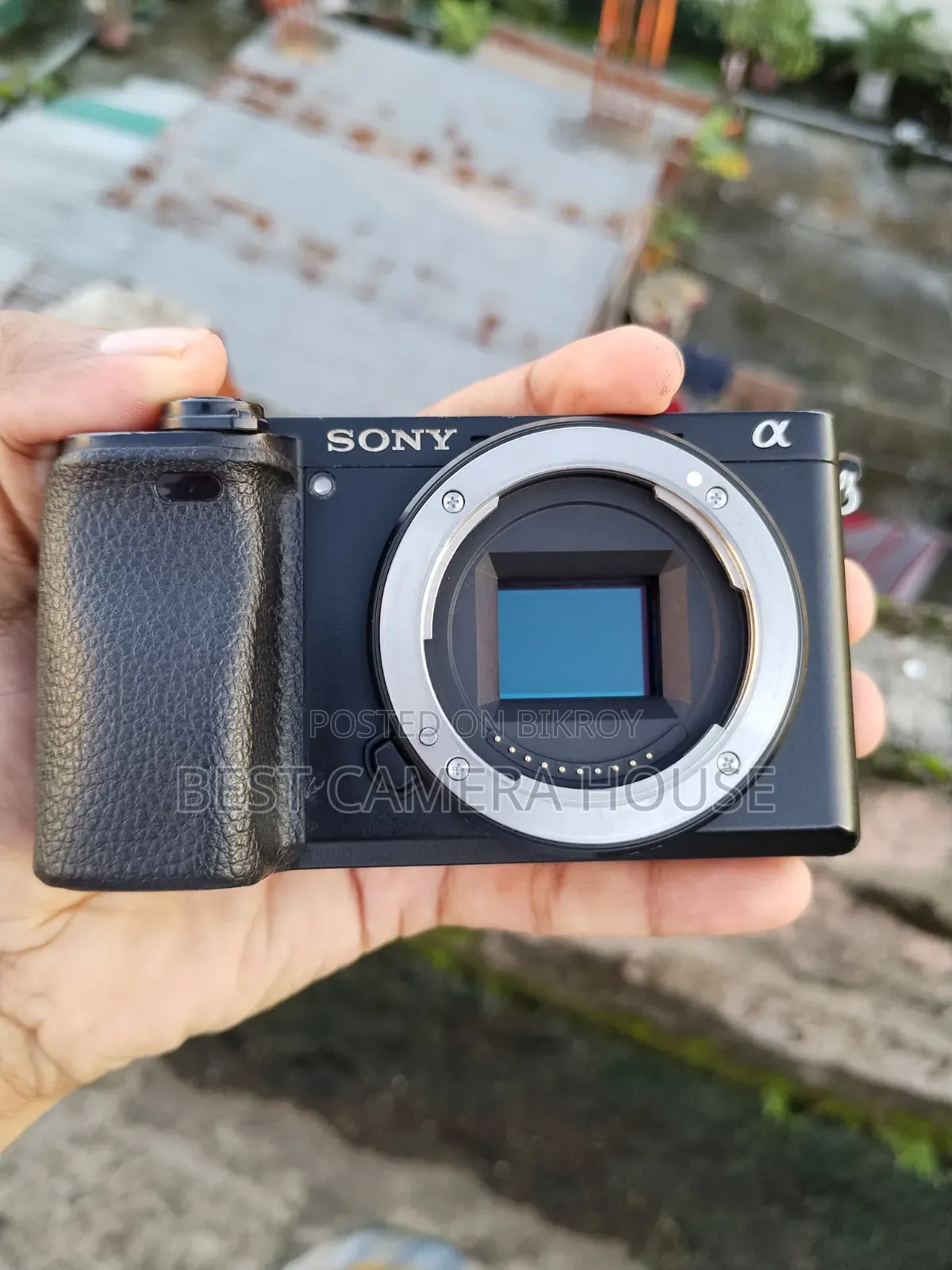 Sony 6300 + Sony 16-55mm Kit Lens