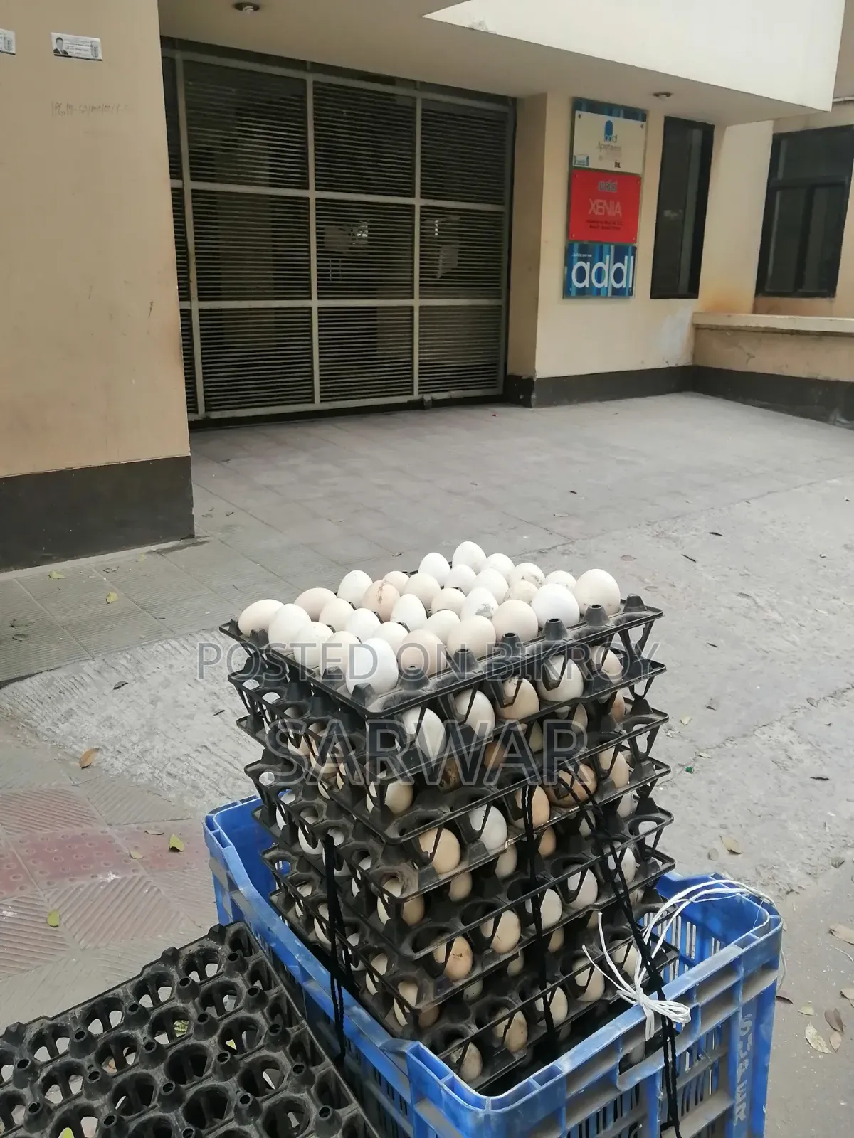 Deshi Chicken Eggs. Deshi Murgir Dim.