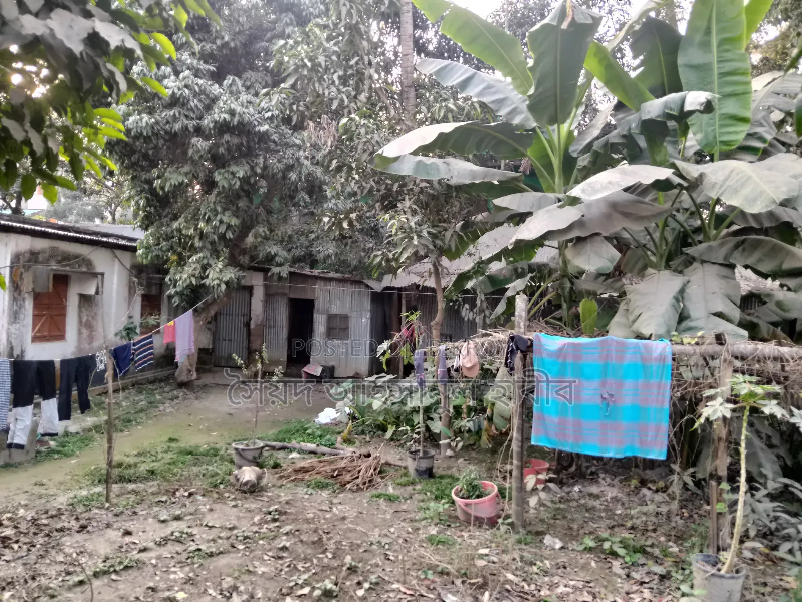 নিষ্কন্টক জমি বিক্রয়