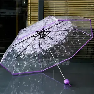 Transparent Umbrella