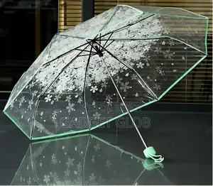 Transparent Umbrella