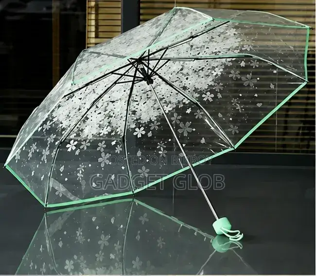 Transparent Umbrella
