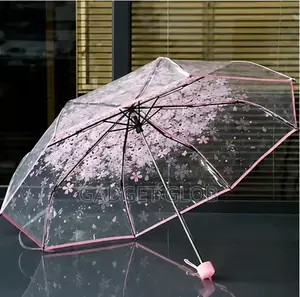 Transparent Umbrella