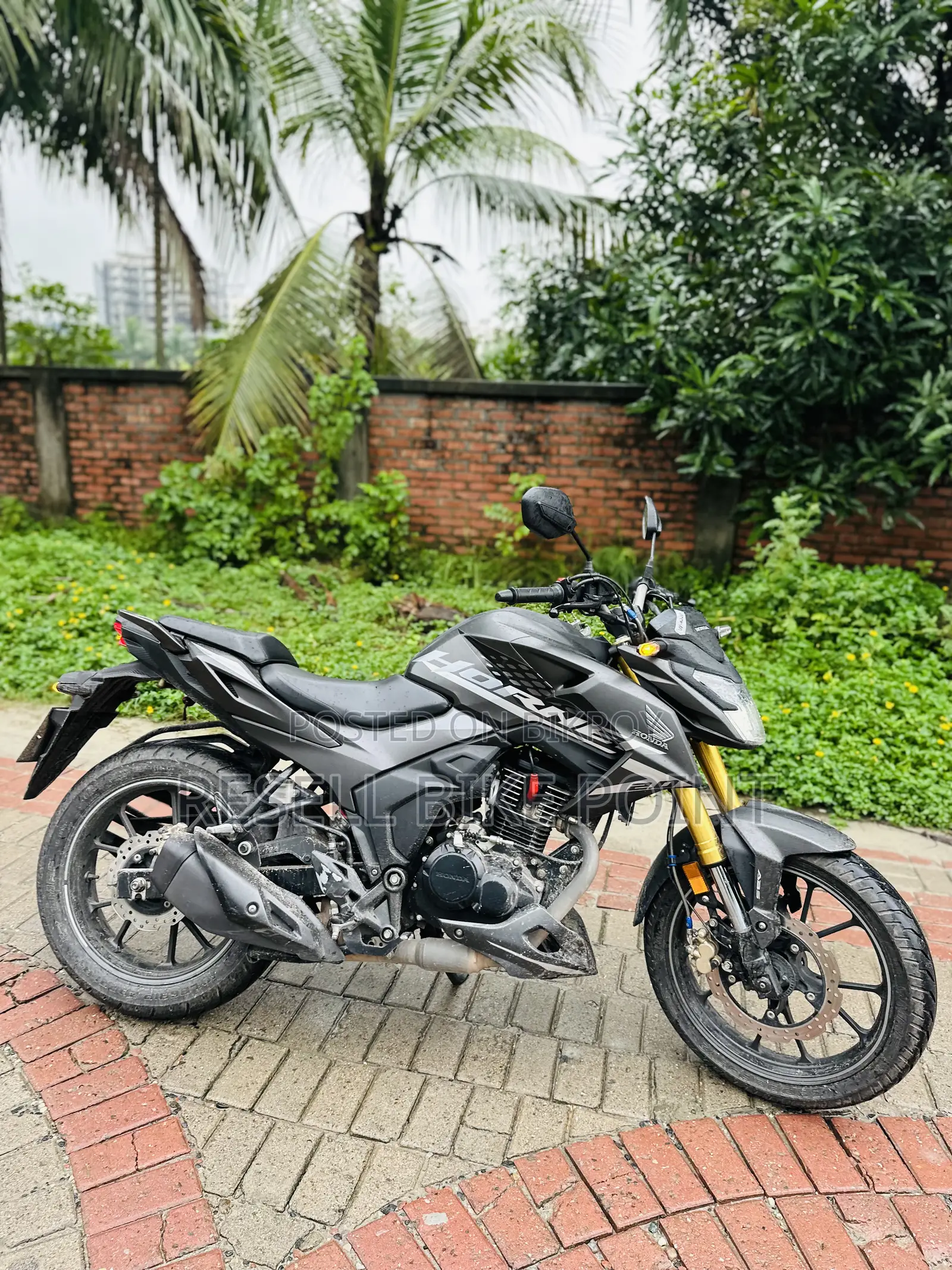 Honda Hornet 2025 Black
