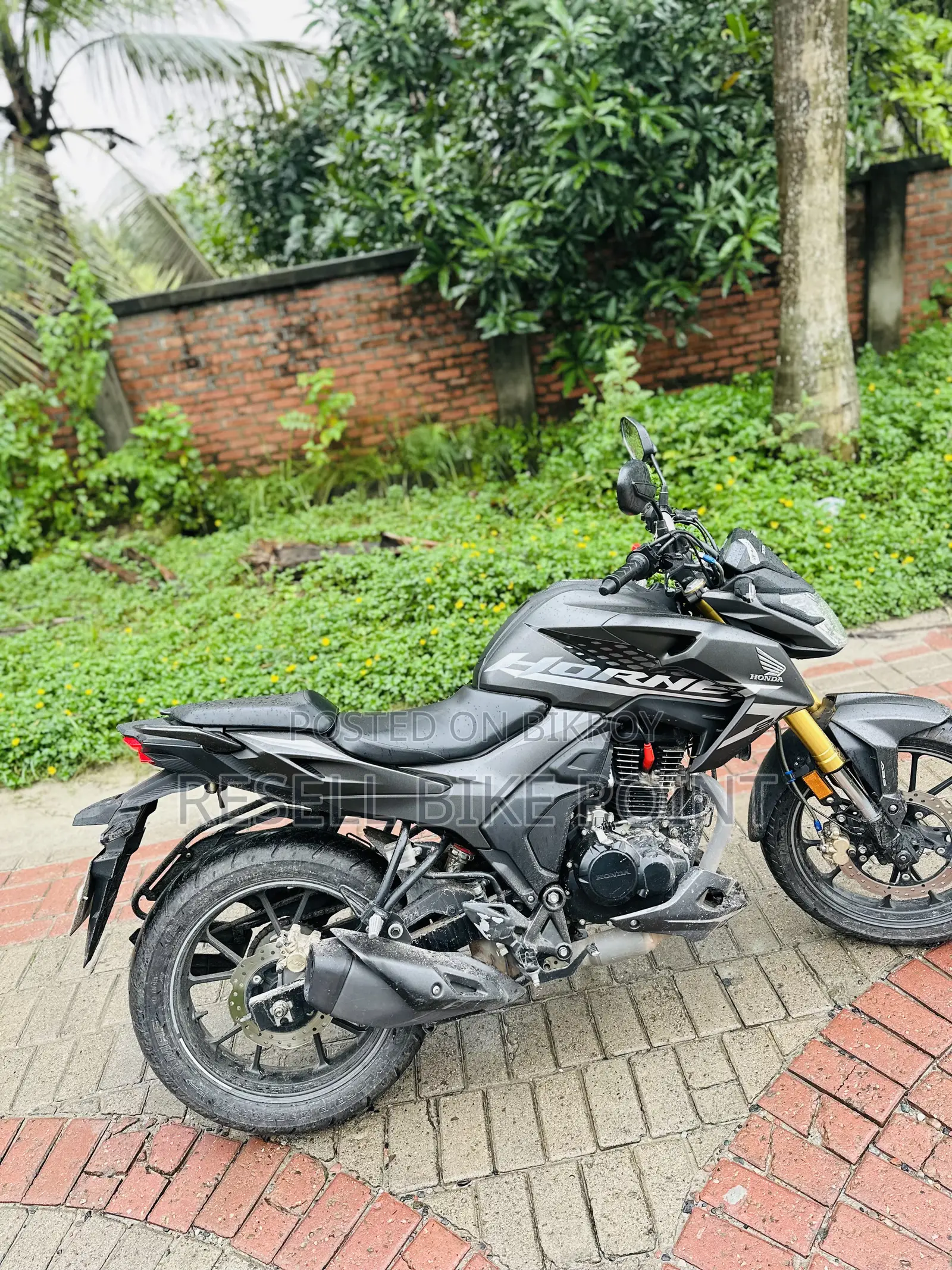 Honda Hornet 2025 Black