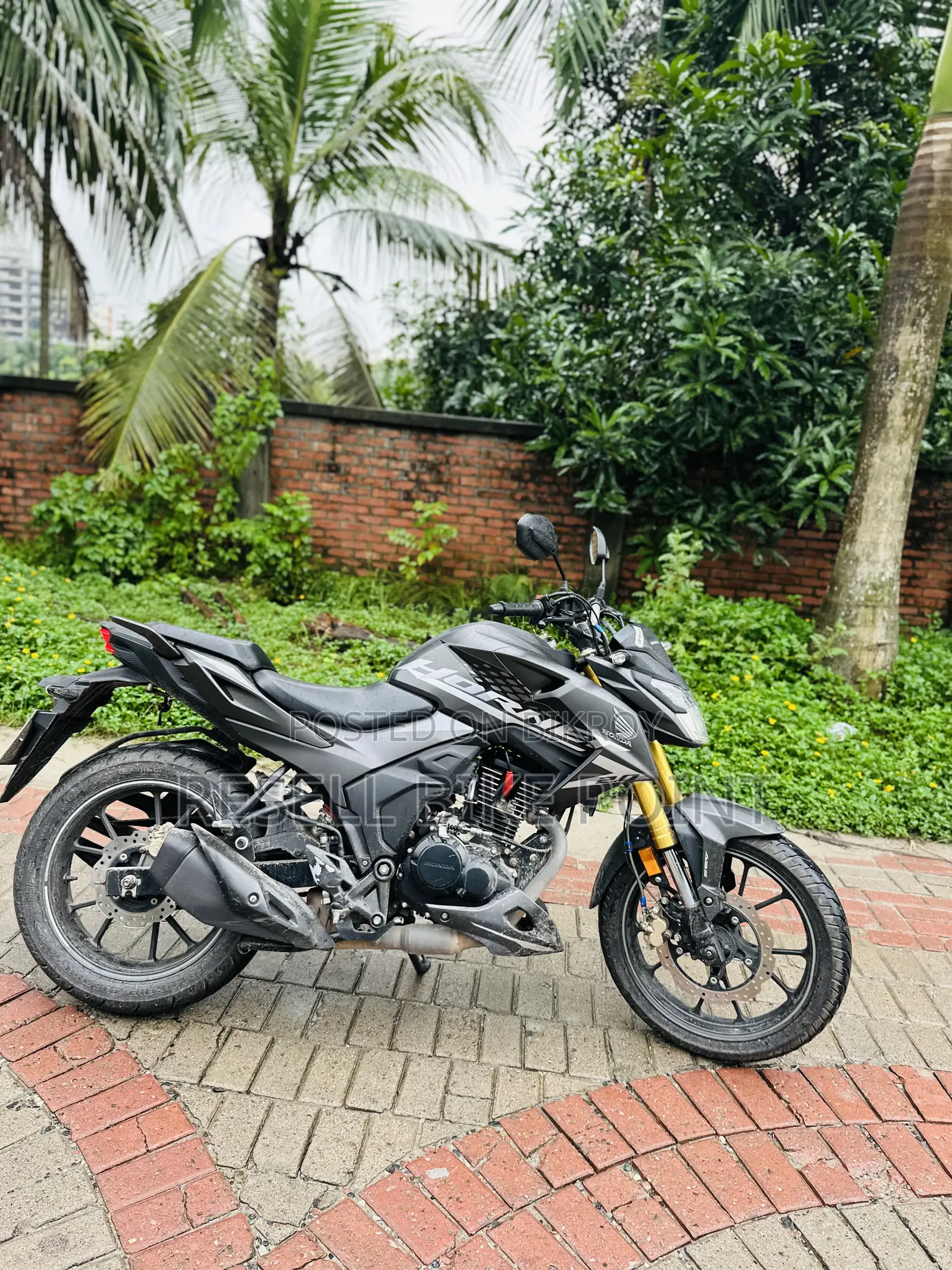 Honda Hornet 2025 Black