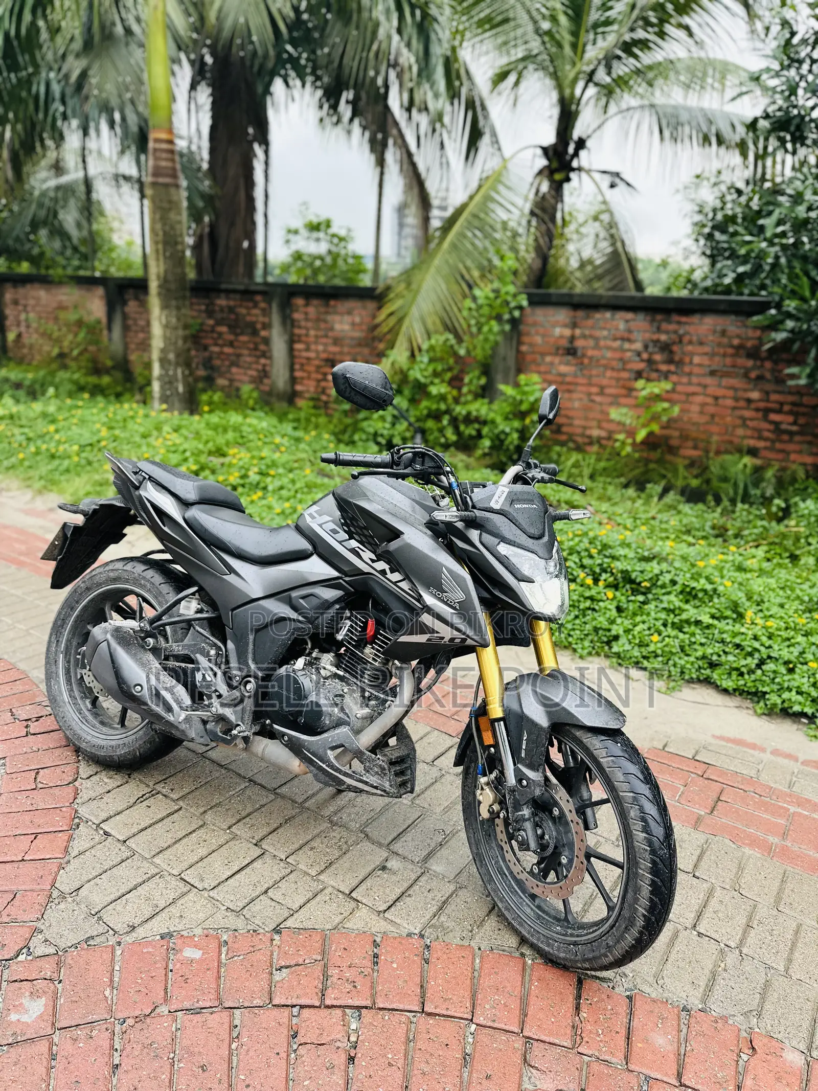 Honda Hornet 2025 Black