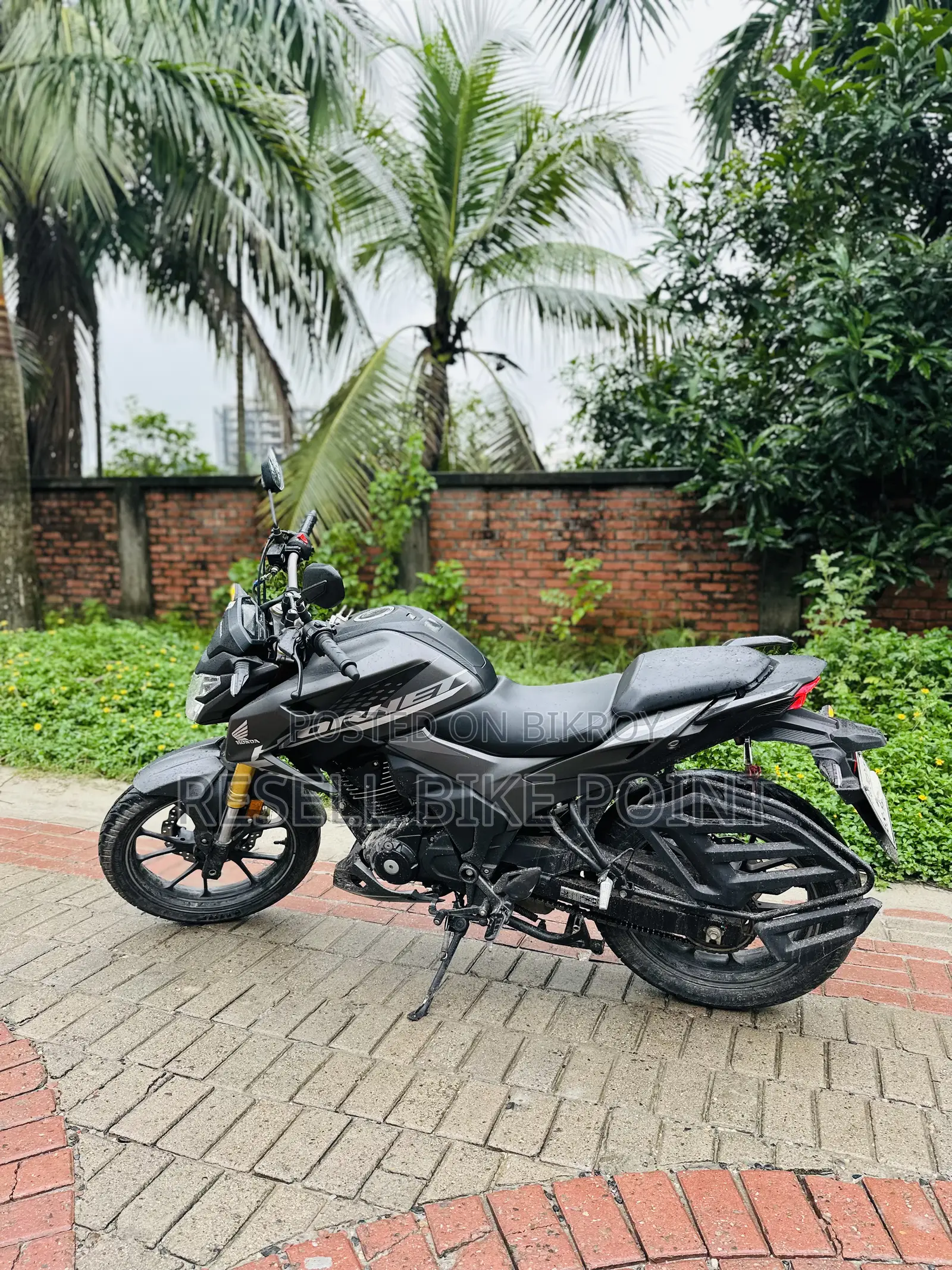 Honda Hornet 2025 Black