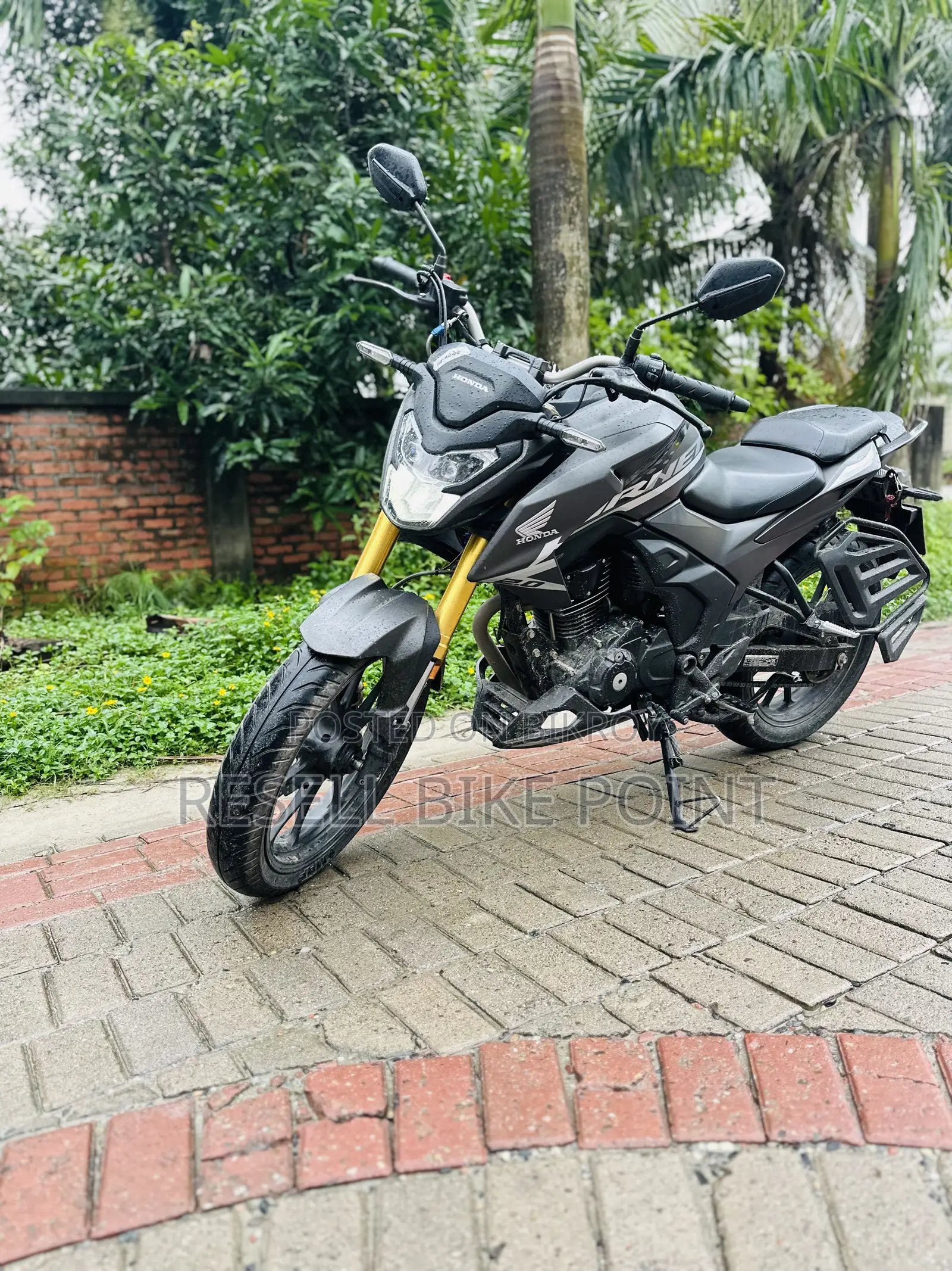 Honda Hornet 2025 Black