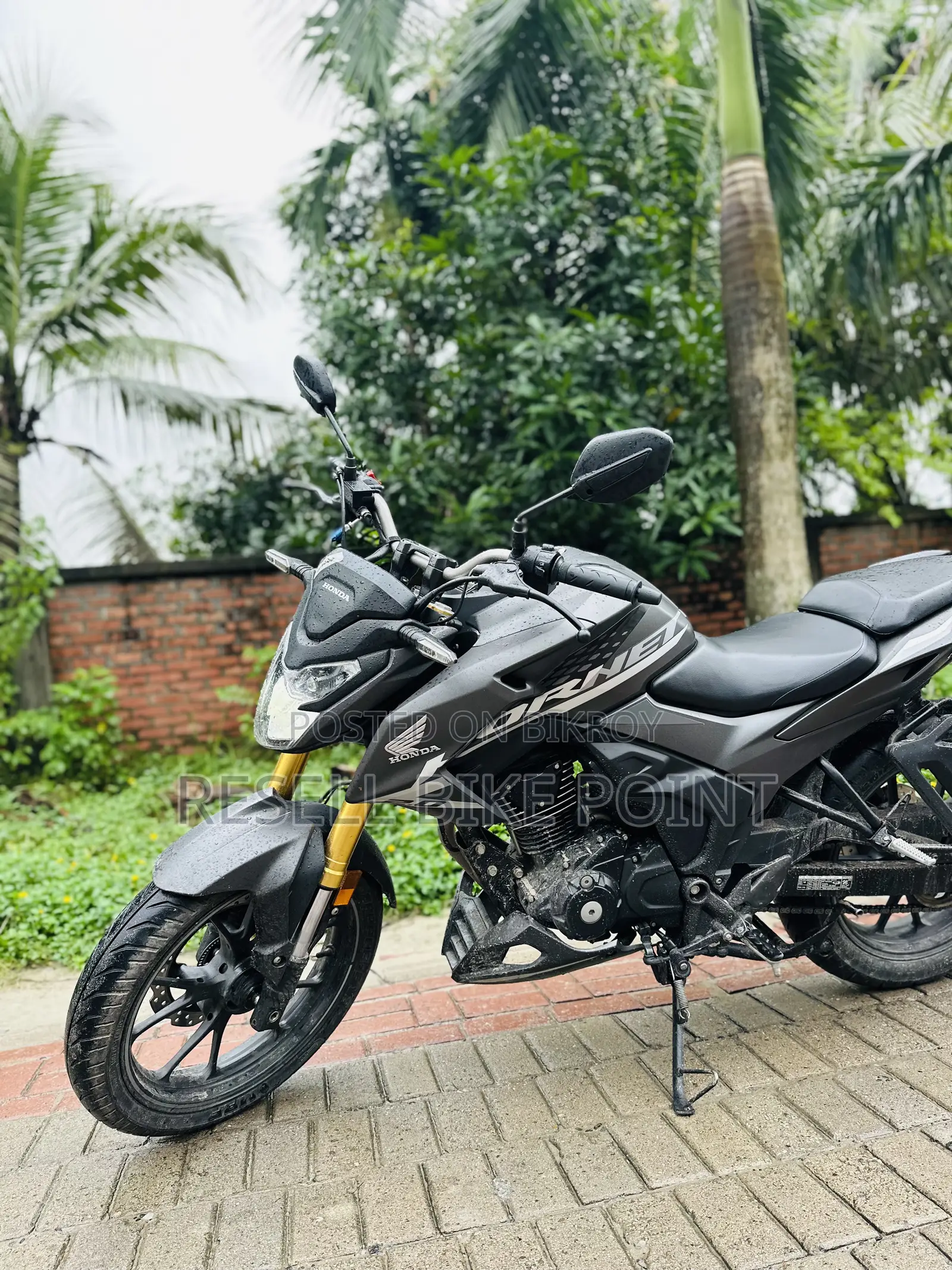 Honda Hornet 2025 Black
