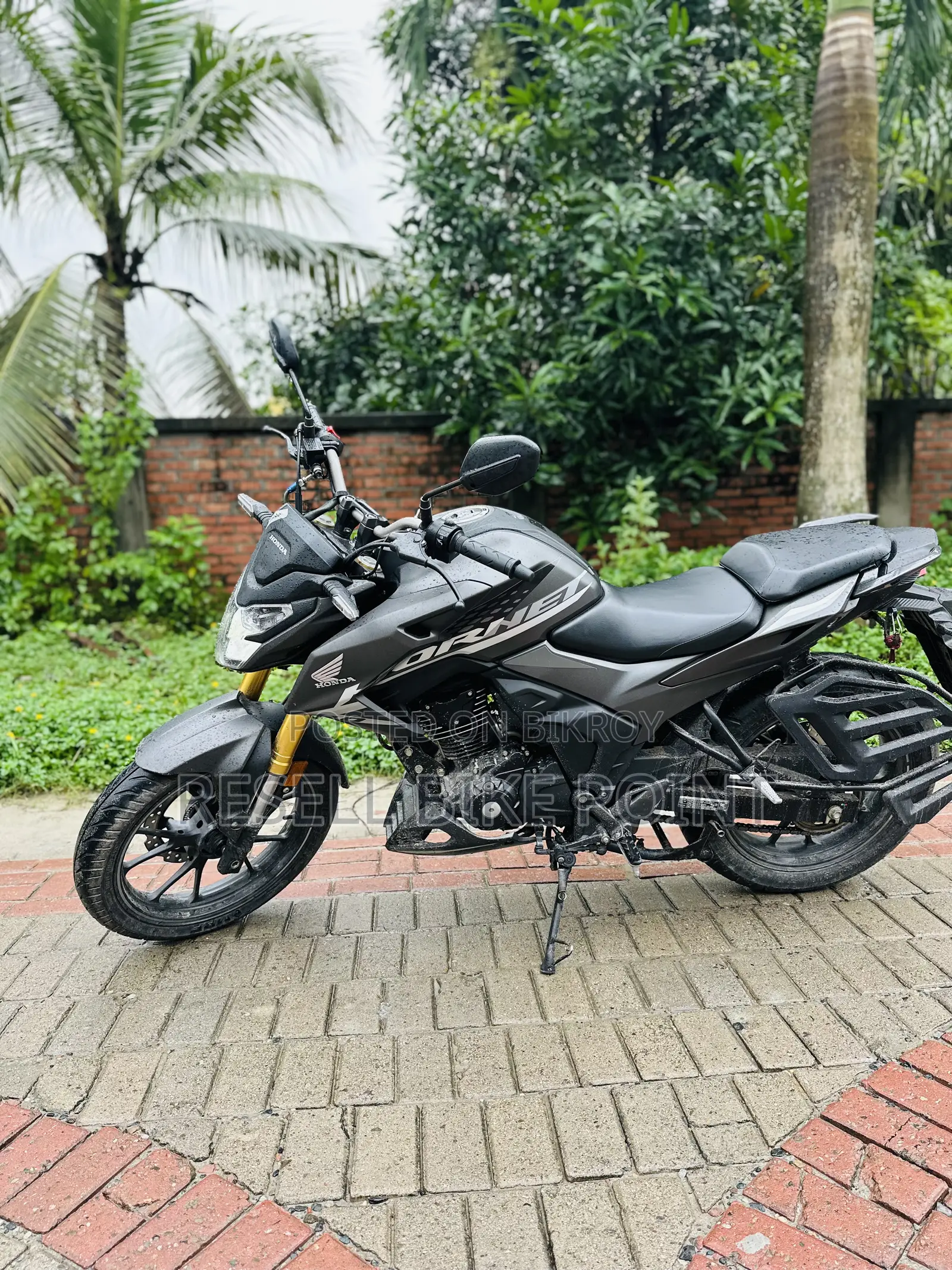 Honda Hornet 2025 Black