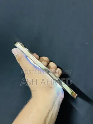 অ্যাপল আইফোন ১৩ প্রো ম্যাক্স ২৫৬ জিবি গোল্ড