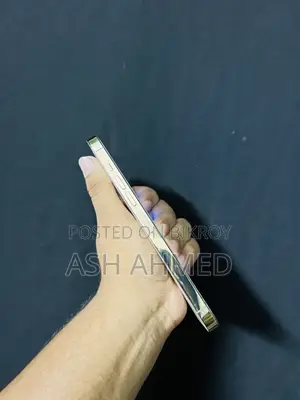 অ্যাপল আইফোন ১৩ প্রো ম্যাক্স ২৫৬ জিবি গোল্ড