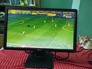 Dell 19 Inch Monitor