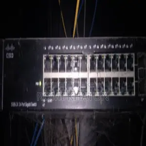 সিসকো এসজি৯৫ ২৪-পোর্ট পিওই আনম্যানেজড সুইচ