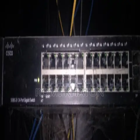 সিসকো এসজি৯৫ ২৪-পোর্ট পিওই আনম্যানেজড সুইচ