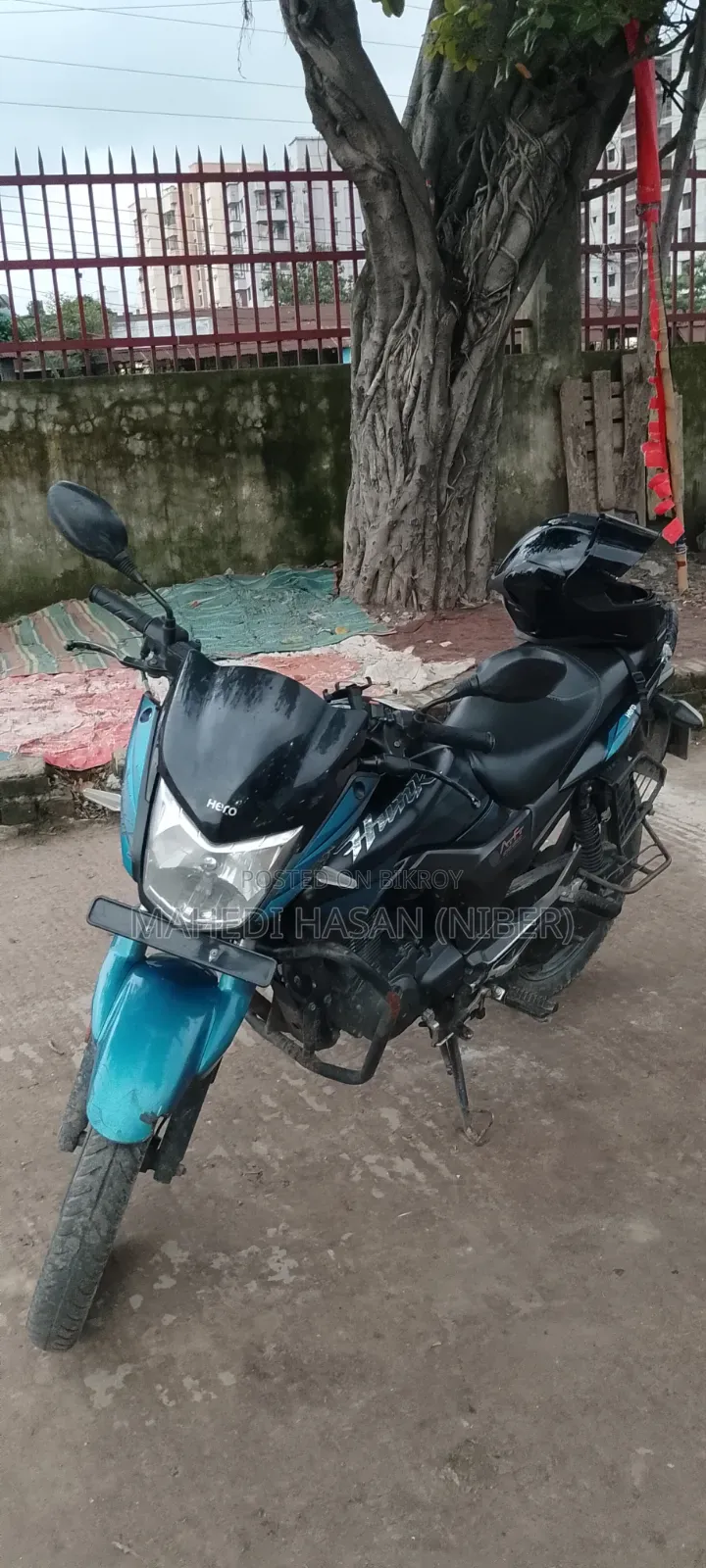 হিরো হাঙ্ক ২০২৩ নীল