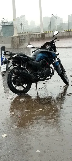 হিরো হাঙ্ক ২০২৩ নীল