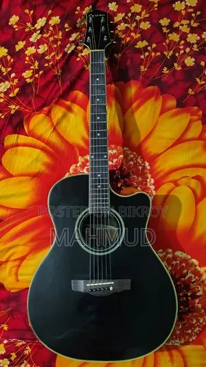 কাস্টম গিটার