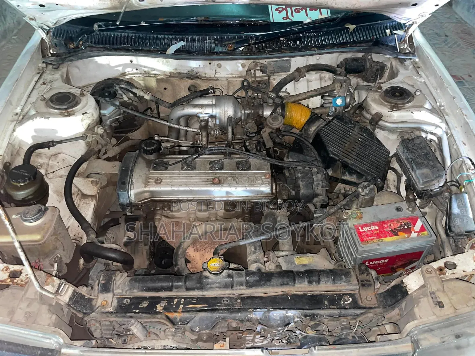 Toyota Corolla 1998 White