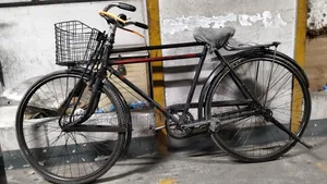 ফনিক্স সাইকেল