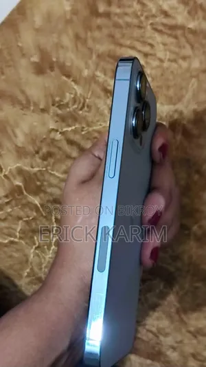 অ্যাপল আইফোন ১৩ প্রো ২৫৬ জিবি নীল