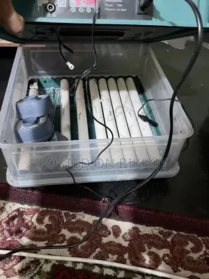 Egg Incubator 54 Eggs