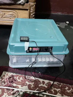 Egg Incubator 54 Eggs