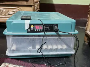 Egg Incubator 54 Eggs