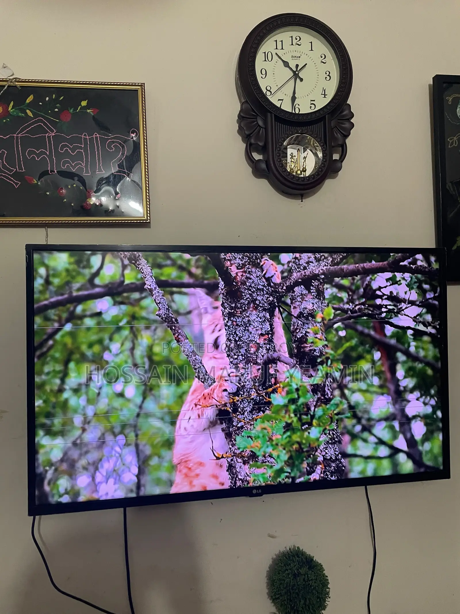 TV 43" LG Smart TV