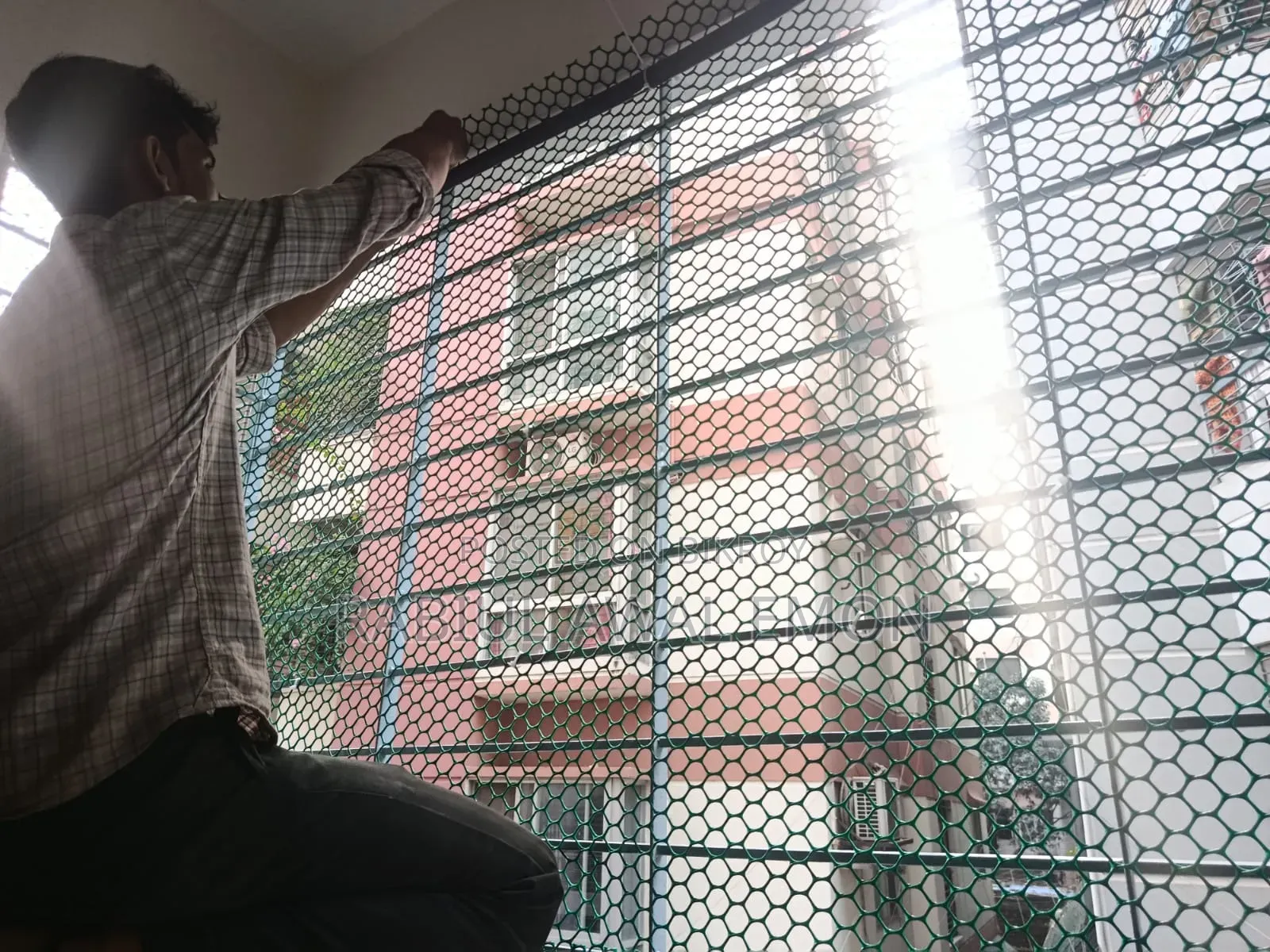 Cat Proof Net