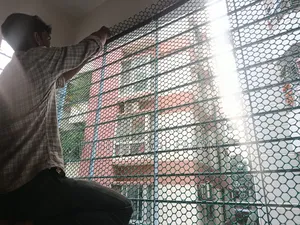 Cat Proof Net