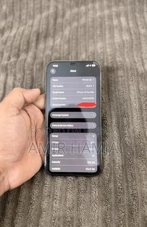 Apple iPhone 12 Pro Max 256 GB Gray
