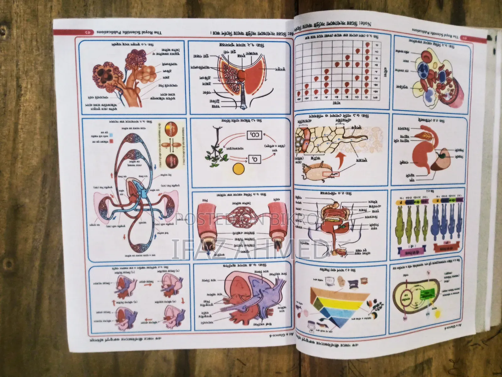 SSC Biology Guide