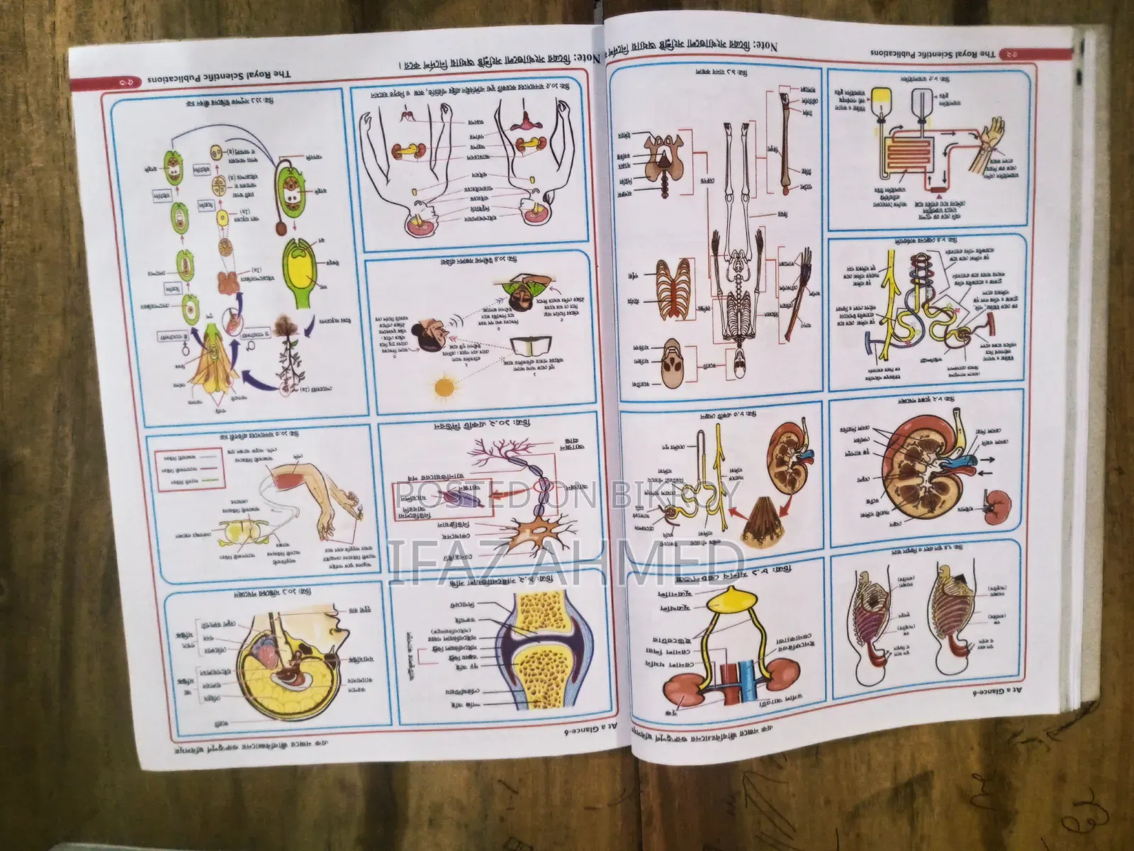 SSC Biology Guide